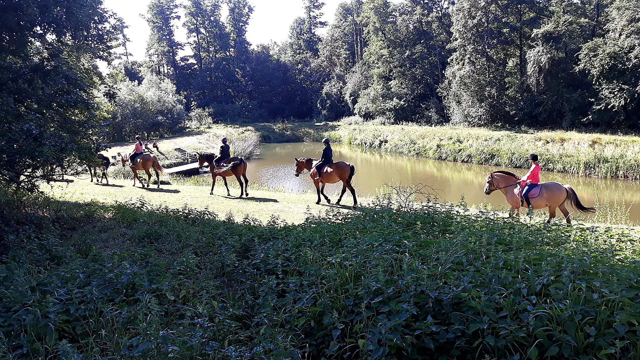 Dzieci na koniach podczas kolonii letnich w Głazie